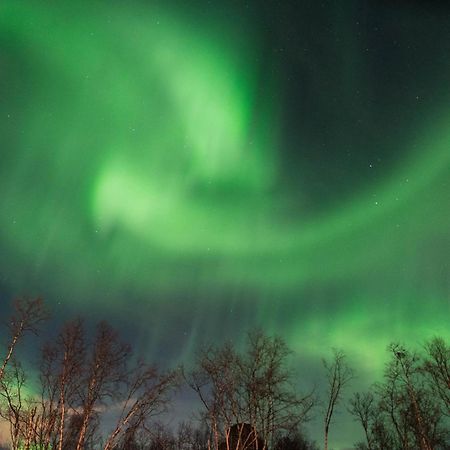 Ofelas Islandshaestar & Guideservice Kiruna Eksteriør bilde
