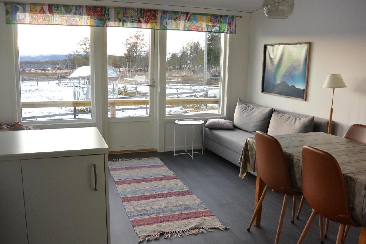 Ofelas Islandshaestar & Guideservice Kiruna Eksteriør bilde
