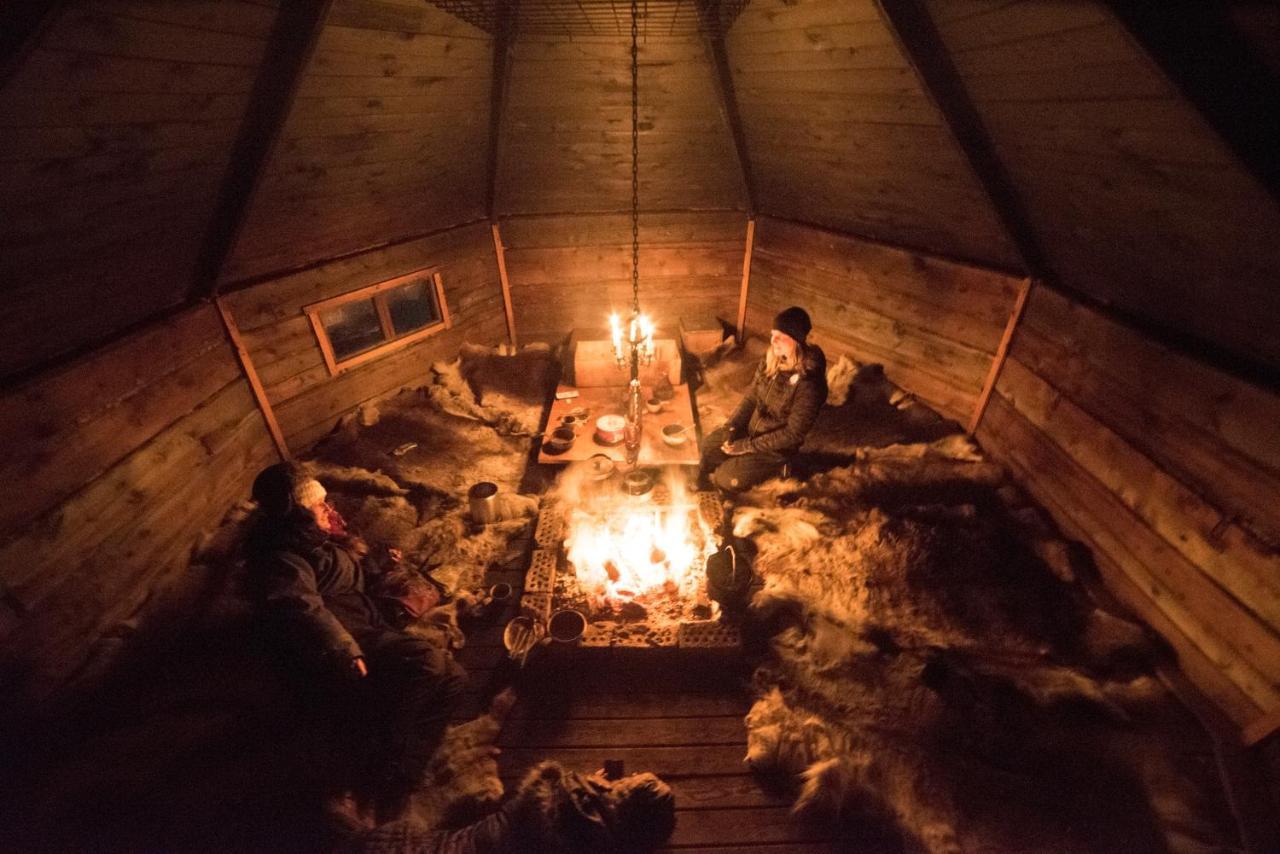Ofelas Islandshaestar & Guideservice Kiruna Eksteriør bilde