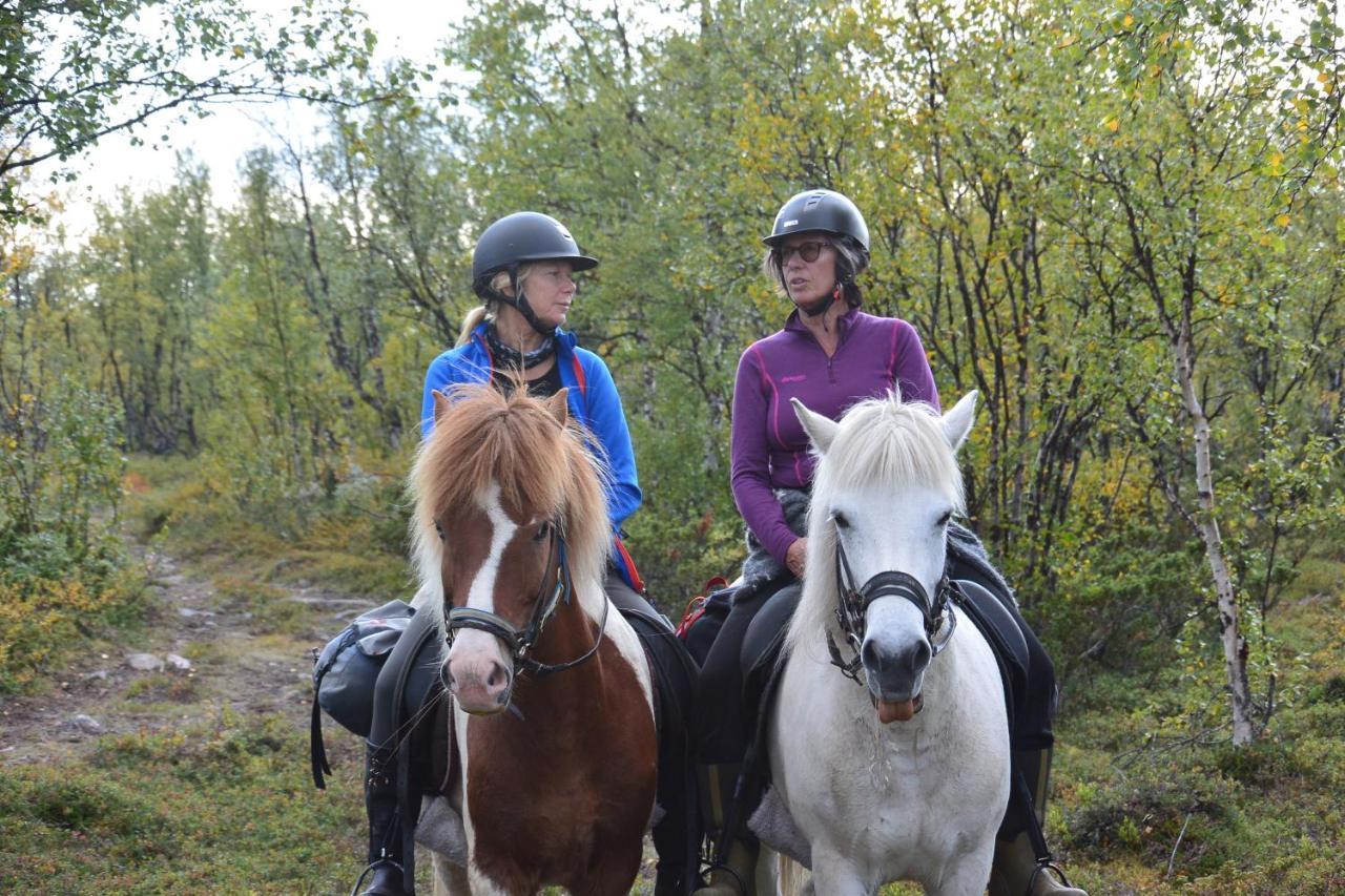 Ofelas Islandshaestar & Guideservice Kiruna Eksteriør bilde
