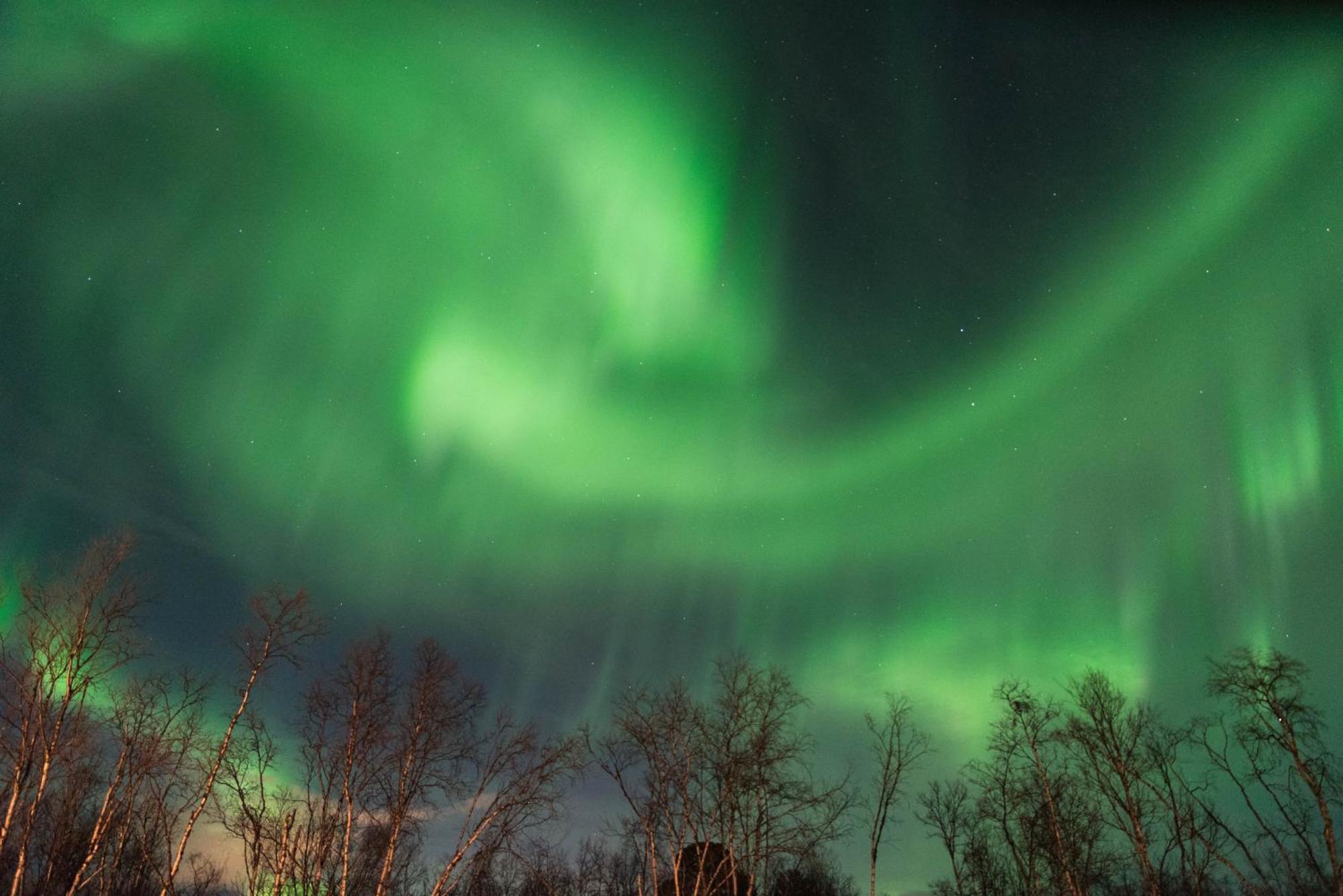 Ofelas Islandshaestar & Guideservice Kiruna Eksteriør bilde