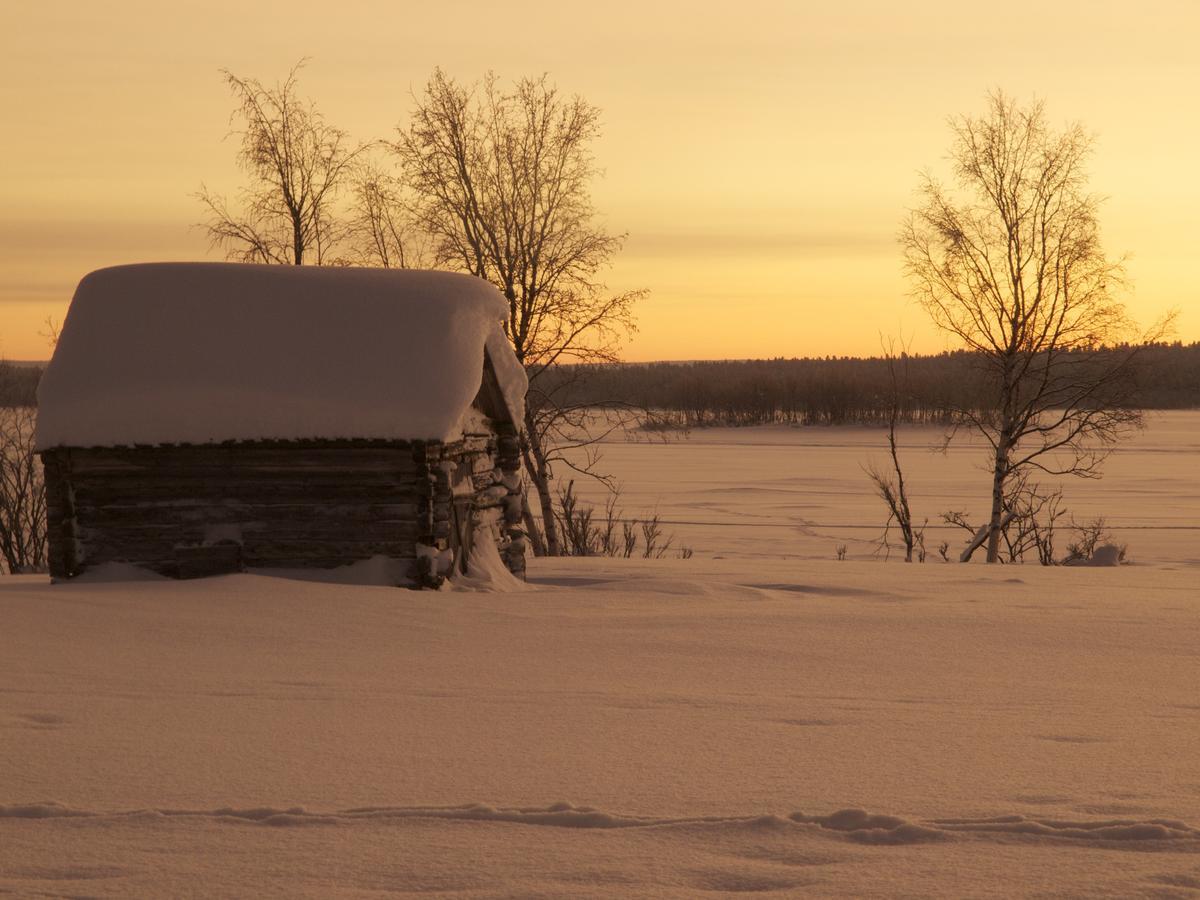 Ofelas Islandshaestar & Guideservice Kiruna Eksteriør bilde